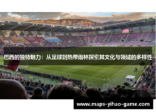 巴西的独特魅力：从足球到热带雨林探索其文化与领域的多样性