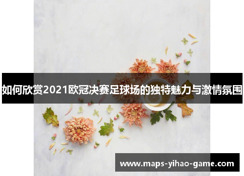 如何欣赏2021欧冠决赛足球场的独特魅力与激情氛围