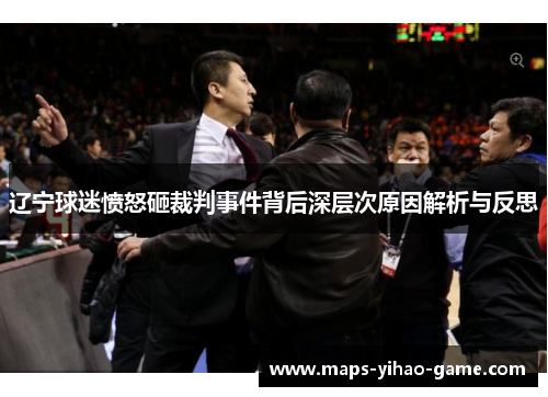 辽宁球迷愤怒砸裁判事件背后深层次原因解析与反思